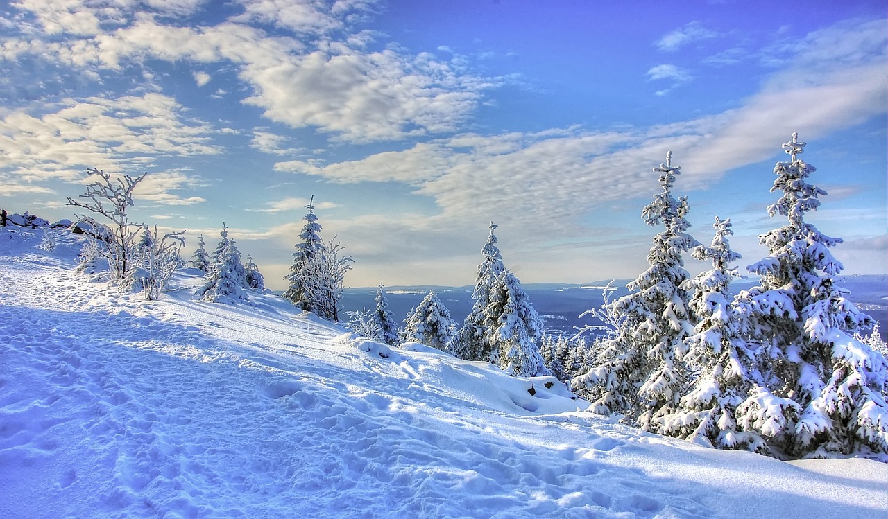 Information-harz.de – Sehenswertes aus dem Harz Information-harz.de – Sehenswertes aus dem Harz