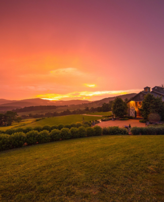 Zusätzliche Hotels, Weinkellereien und vieles mehr: Genussvolle Neuheiten aus Charlottesville 2023