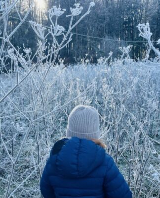 Foto des Tages: Eisiger morgen in der fränkischen Schweiz