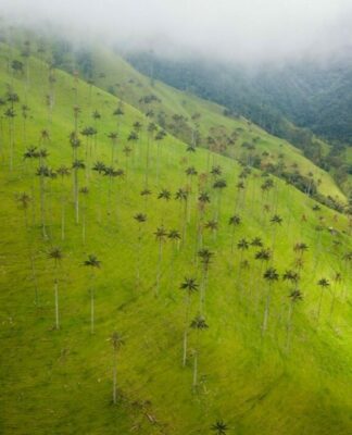 Kolumbien zeigt auf der ITB sein Engagement für den Tourismus als Motor für einen umfassenden Frieden