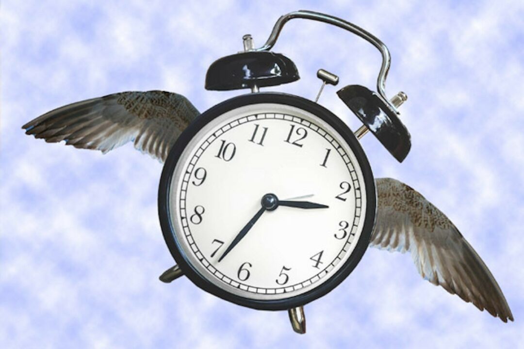 World Sleep Day – ein Feiertag nicht nur für das Immunsystem World Sleep Day – ein Feiertag nicht nur für das Immunsystem