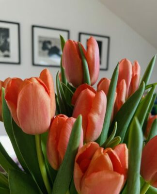 Foto des Tages: Mach’s dir bunt Frühling für’s Zuhause