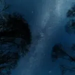 Magie der Nacht – Astrofotografiekurs und Nachterlebnis im wunderschönen Wendland!