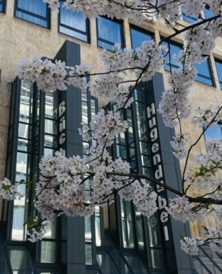 Foto des Tages: der Frühling kehrt in Frankfurt ein