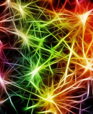 Aneurysma vorsorglich operieren?