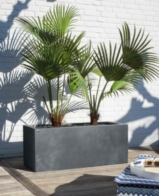 Pflanzkübel XXL für Terrasse & Garten