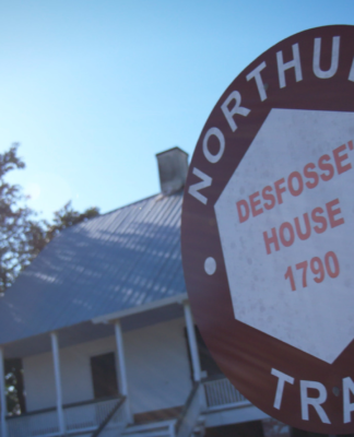 Filmreifen Stories auf der Spur