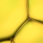 prg_430792.png