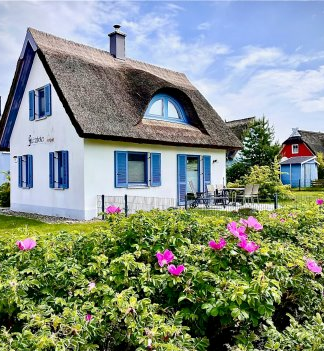 Urlaub mit Hund Reethäuser KURZFRISTIG FREI direkt am Meer Grundstück eingezäunt