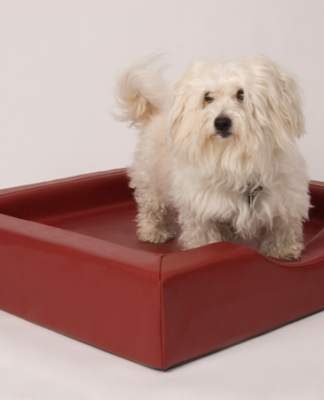 Ausgesuchte Hundebetten für Sie im Angebot