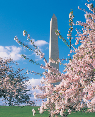 Neuer kostenloser Reiseplaner für die US-Hauptstadtregion