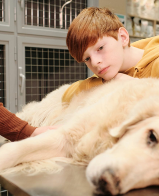 Gesunde Hunde, glückliche Besitzer