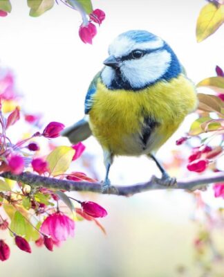 Lichtermeer „Frühlingserwachen“ am Weissenhäuser Strand