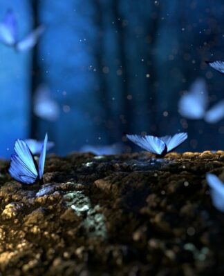 Der moderne Märchenfilm