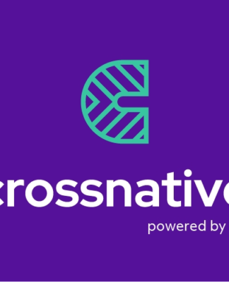 PPI launcht mit der neuen Marke „crossnative“ Transformationskompetenz für alle Branchen