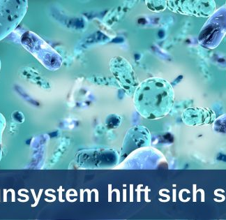 Immunsystem hilft sich selbst