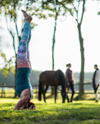 Reiten in Kombination mit Wellness, Yoga oder Fasten