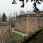 prg_432484.png