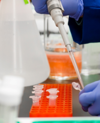 Medizinische Möglichkeiten: Mitochondrien & Co.