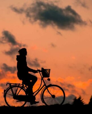 Endokrinologie in München: Risiko Fettleber