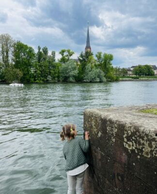 Foto des Tages: Gänse beobachten am Mainufer in Frankfurt am Main