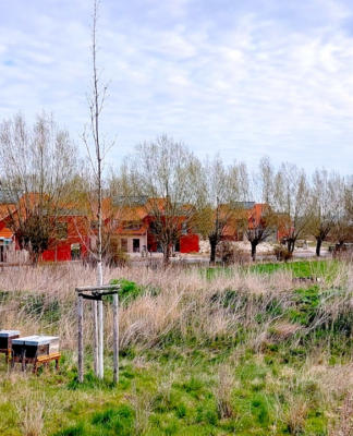 Ferien-Resort Bades Huk – Heimat, Herz und Honig