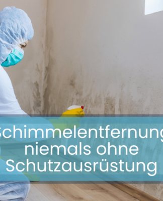 Schimmelentfernung niemals ohne Schutzausrüstung