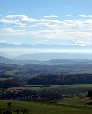Founder Walks – aus Einzelkämpfern werden Teamplayer