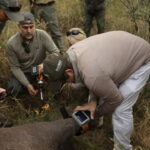 ThandaSafari_RhinoCoCSA_7871_edited