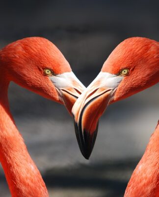 Wie eine erfolgreiche Partnerrückführung funktioniert und warum Ihr Partner zurückkehren wird!