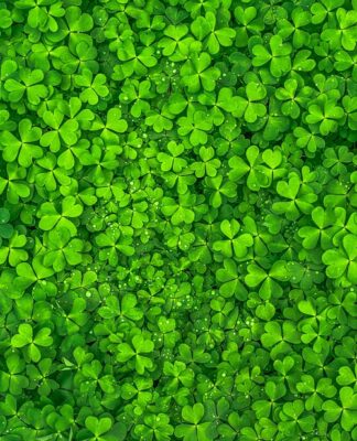 Don’t worry: allein sein heißt nicht gleich einsam sein – Sirima Miller