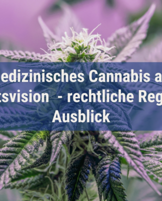 Medizinisches Cannabis als Zukunftsvision – rechtliche Regeln und Ausblick