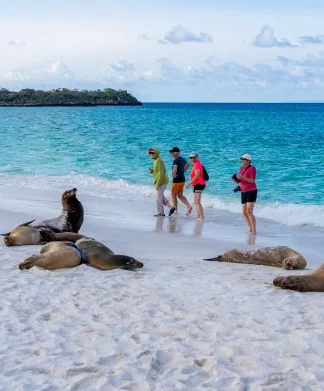 Reisemedizin Weiterbildungen