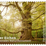 Sonderpostwertzeichen „Ivenacker Eichen – Erstes Nationales Naturmonument“