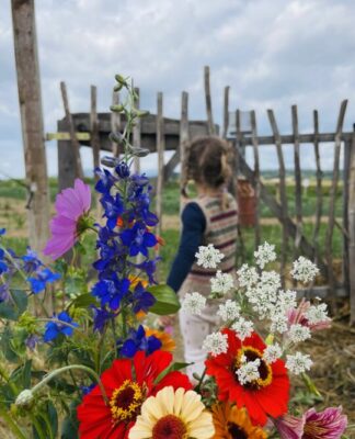 Foto des Tages: Die Blumensaison ist eröffnet – Blumen zum Selberpflücken