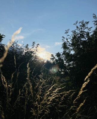 Foto des Tages: Der wunderschöne Harz