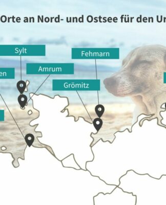 Urlaub mit Hund: Die beliebtesten Orte an Nord- und Ostsee im Vergleich