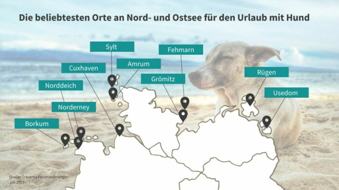 Infografik - Die beliebtesten Orte an Nord- und Ostsee für den Urlaub mit Hund Bildrechte: Travanto Travel GmbH & Co. KG