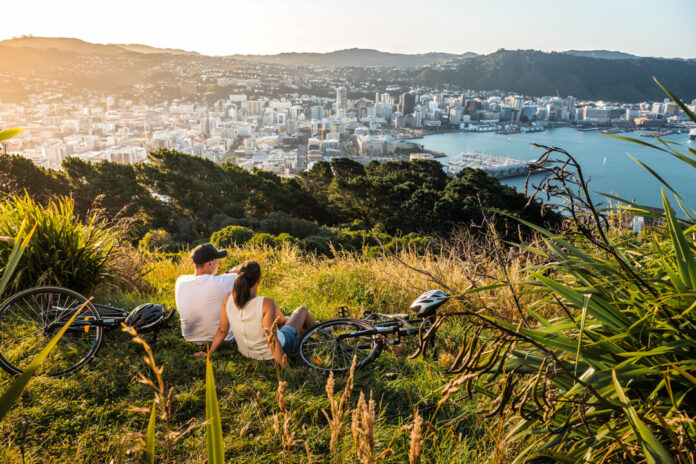 Ausblick vom Mount Victoria, Wellingtons Hausberg Bildrechte: Tourism New Zealand