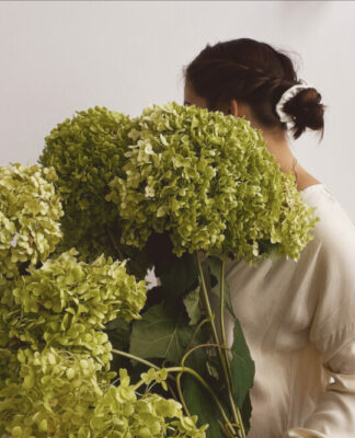 Foto des Tages: Üppige Hortensien aus dem Garten