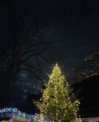 Foto des Tages: Die Weihnachtsmarkt Saison ist eröffnet