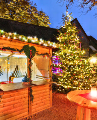 Genieße den Weihnachtsmarkt Friedberger Warte am 25.11.2023 um 15 Uhr