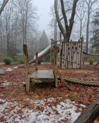 Die versteckten Vorteile des nebligen Dezemberwetters: Warum Sie dem Nebel eine Chance geben sollten