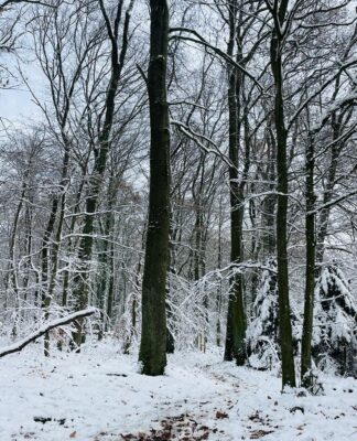 Schnupfenalarm im Winter: Wie Sie die Erkältungssaison mit Leichtigkeit überstehen und gestärkt daraus hervorgehen