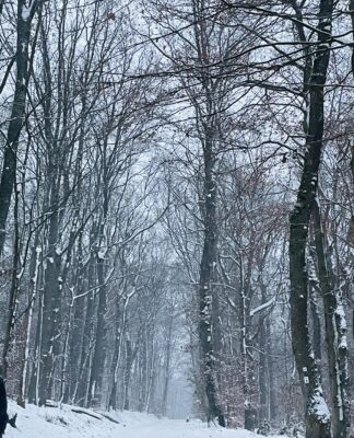 Foto des Tages: Schnee im Taunus