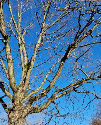 Junge Menschen am Arbeitsplatz immer egoistischer! – Slack-Studie: Generation Z fordert zu hohe Anpassungen im Job?