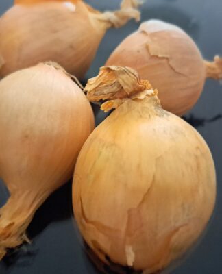 Iss jeden Tag eine rohe Zwiebel! – Wie sie Bakterien und Viren in die Flucht schlägt!