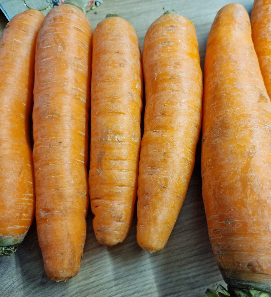 Krebs-Risiko senken mit Karotten: Die bahnbrechende Studie der Universität Newcastle Copyright: Janes Magazin, Jane Uhlig