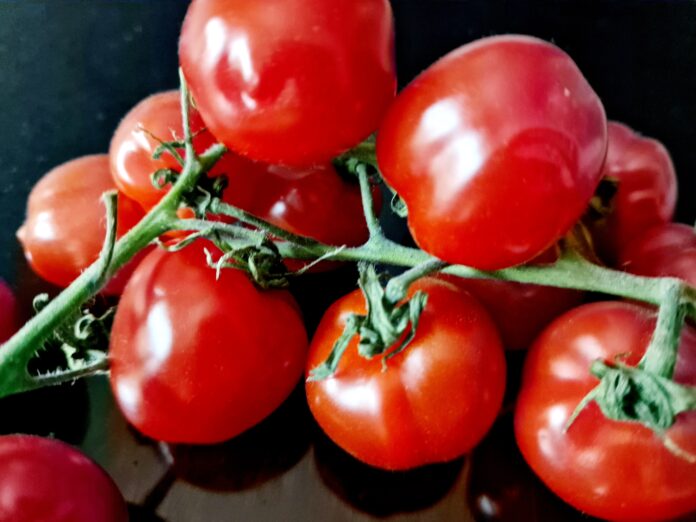 Abnehmen leicht gemacht: Erfahre, wie Tomaten dein Stoffwechsel-Turbo werden! Copyright: Jane Uhlig, Janes Magazin