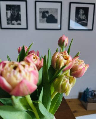 Foto des Tages: Erste Frühlingsgefühle mit Tulpen
